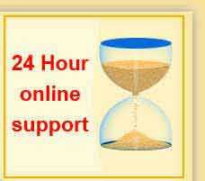 24 hour online support