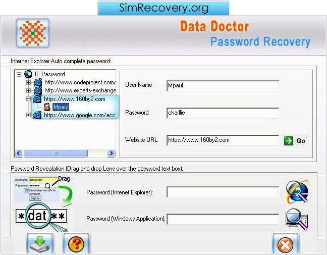 Internet Explorer Password Recovery Software