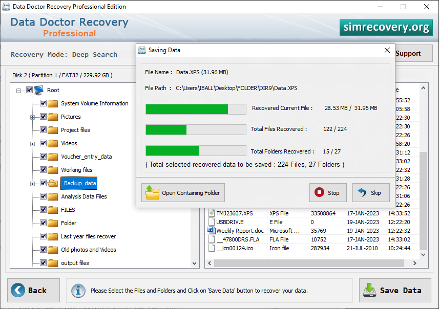 Professional Recovery Software
